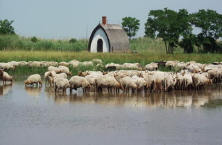 Fertő-Hanság NP