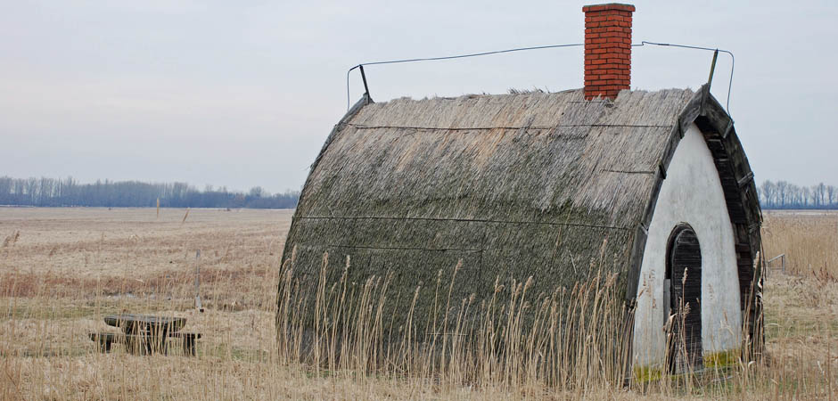 Fertó-tó,lápvilág