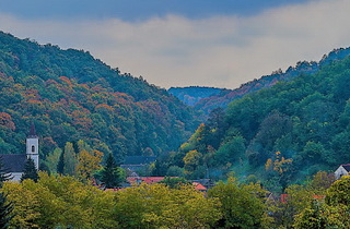 Kárász
