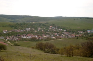 Szuhafő